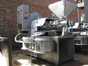 自動(dòng)榨油機(jī)多少錢(qián) 液壓榨油機(jī)多少錢(qián)一套